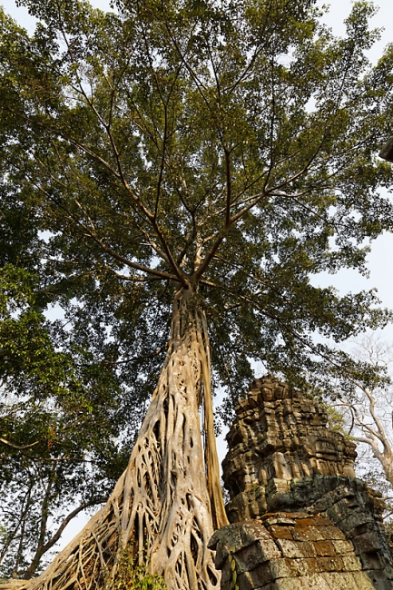 Ta Phrom et environs-092